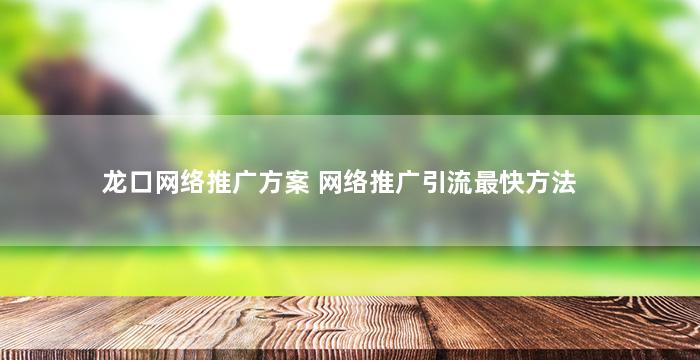 龙口网络推广方案 网络推广引流最快方法